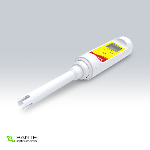bante/1704486808l153991233.jpg