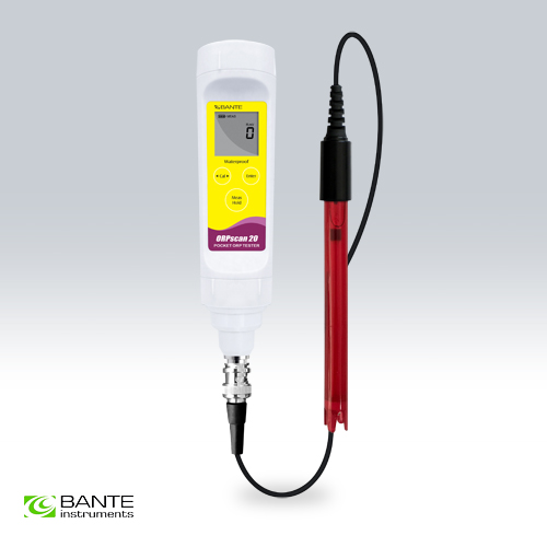 bante/1704521685l427617590.jpg