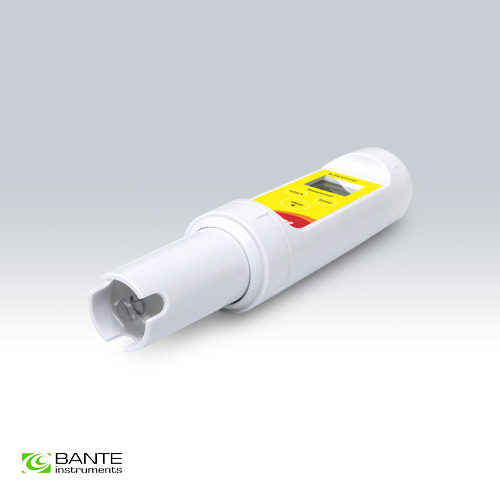 bante/1704656280l927928717.jpg