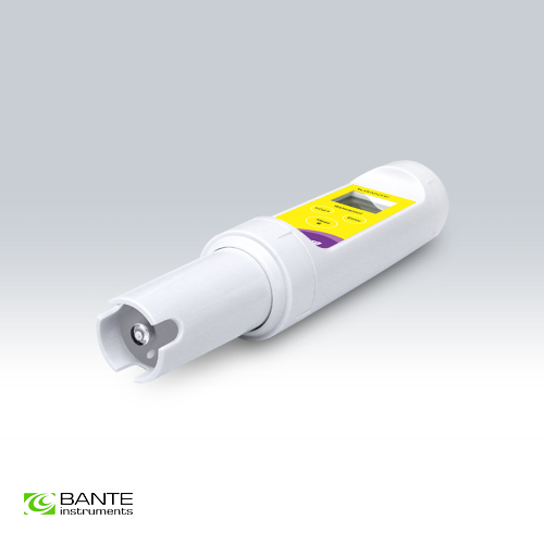 bante/1704657305l085434257.jpg