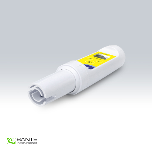 bante/1704657765l830680948.jpg