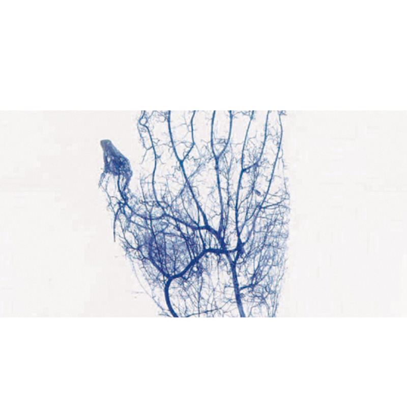 biobase/2587-202311091505597288.jpg