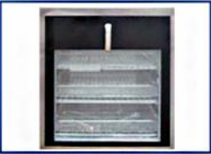 Bottle Washer Machine-2