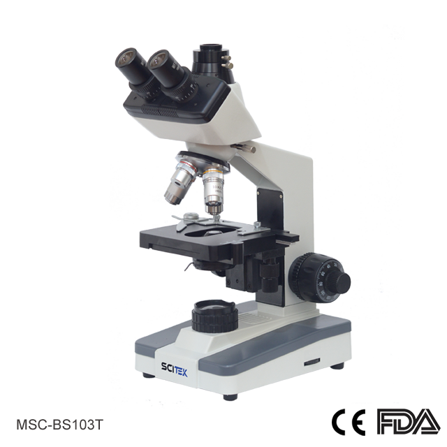 scitek/joBpjKpolqSRrkrminiijo-MSC-BS103T.png