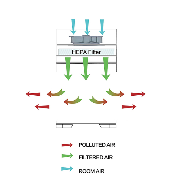 scitek/ljBpjKpolqSRokonniqijp-Double-Side-Vertical-Laminar-Flow-Cabinet-Airflow-Pattern.jpg