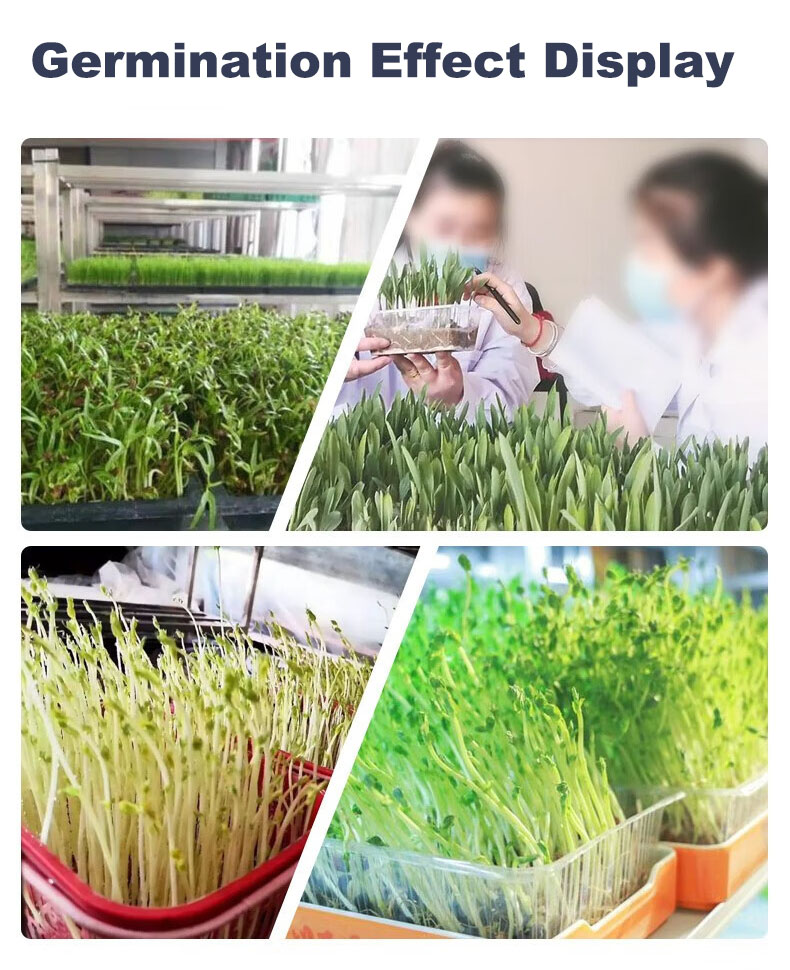 plant grown incubator-2 plant grown incubator-2